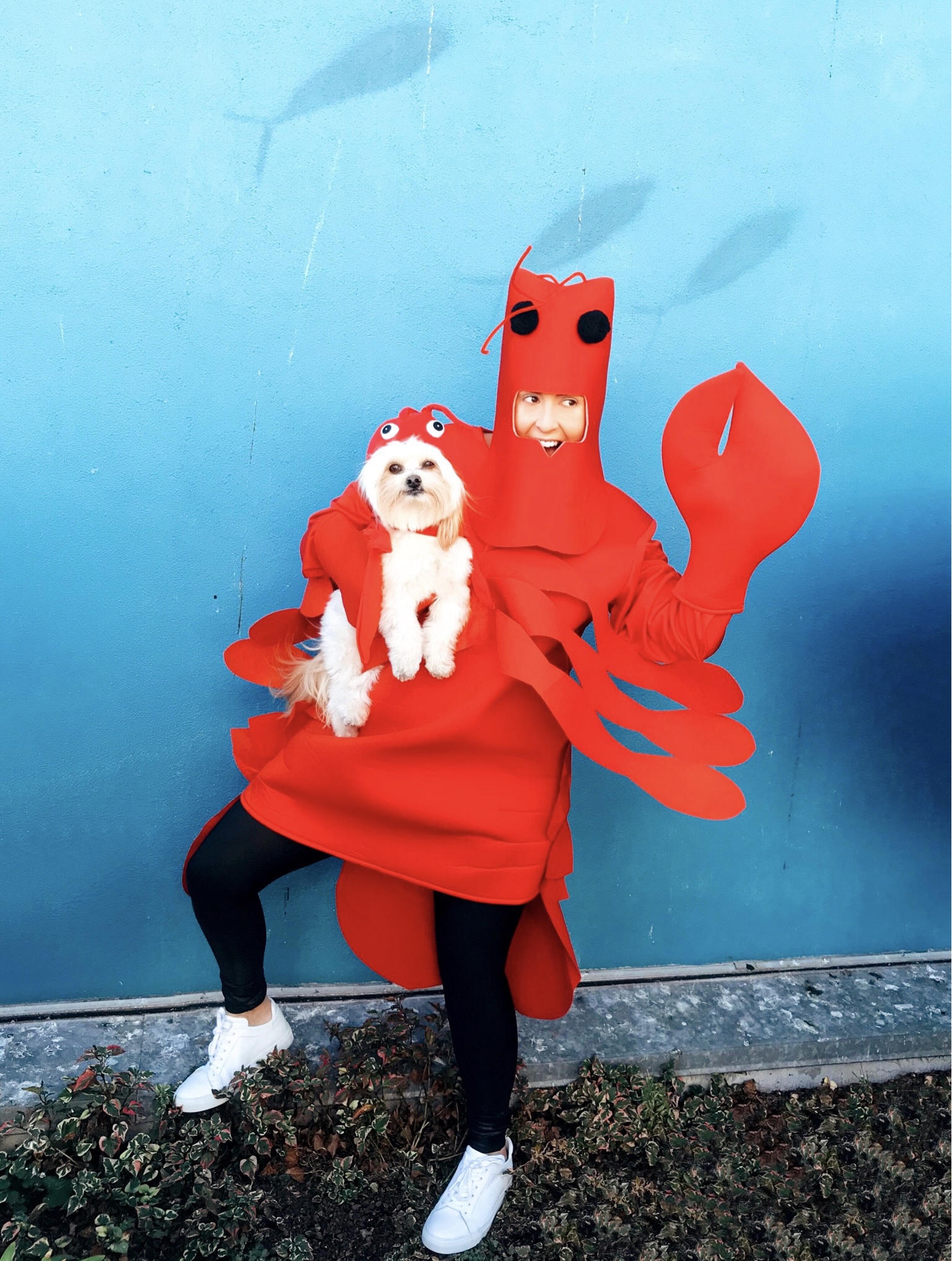 Matching Dog Halloween Costumes, Katwalksf and Benji, Crab Costume
